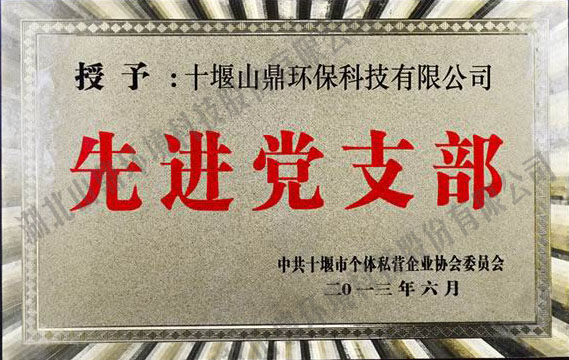 2013年先进党支部